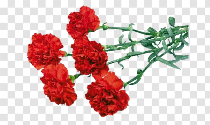 Carnation Flower Bouquet Red Clip Art - Artificial Transparent PNG