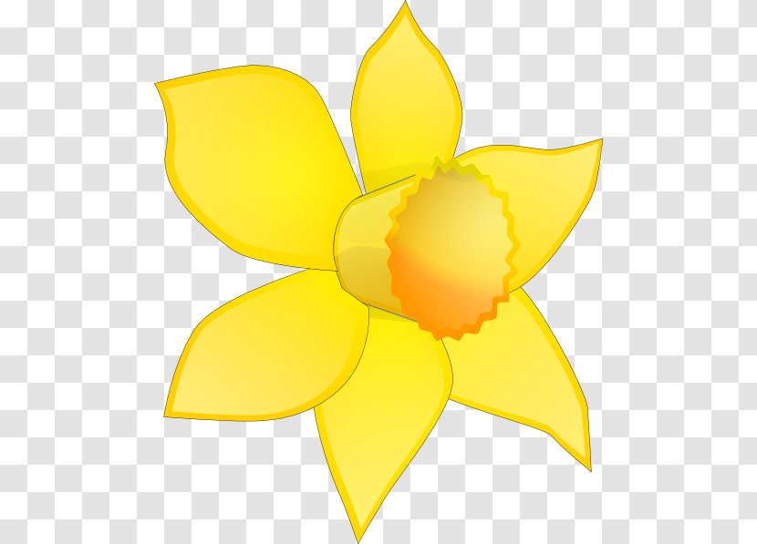 Daffodil Flower Free Content Clip Art - Daffodils Clipart Transparent PNG