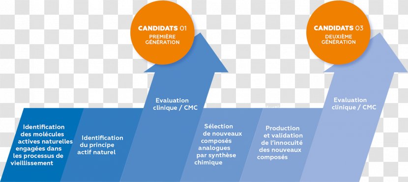 Strategy Biophytis Screening Graphic Design - Lead Generation - Exposition Transparent PNG