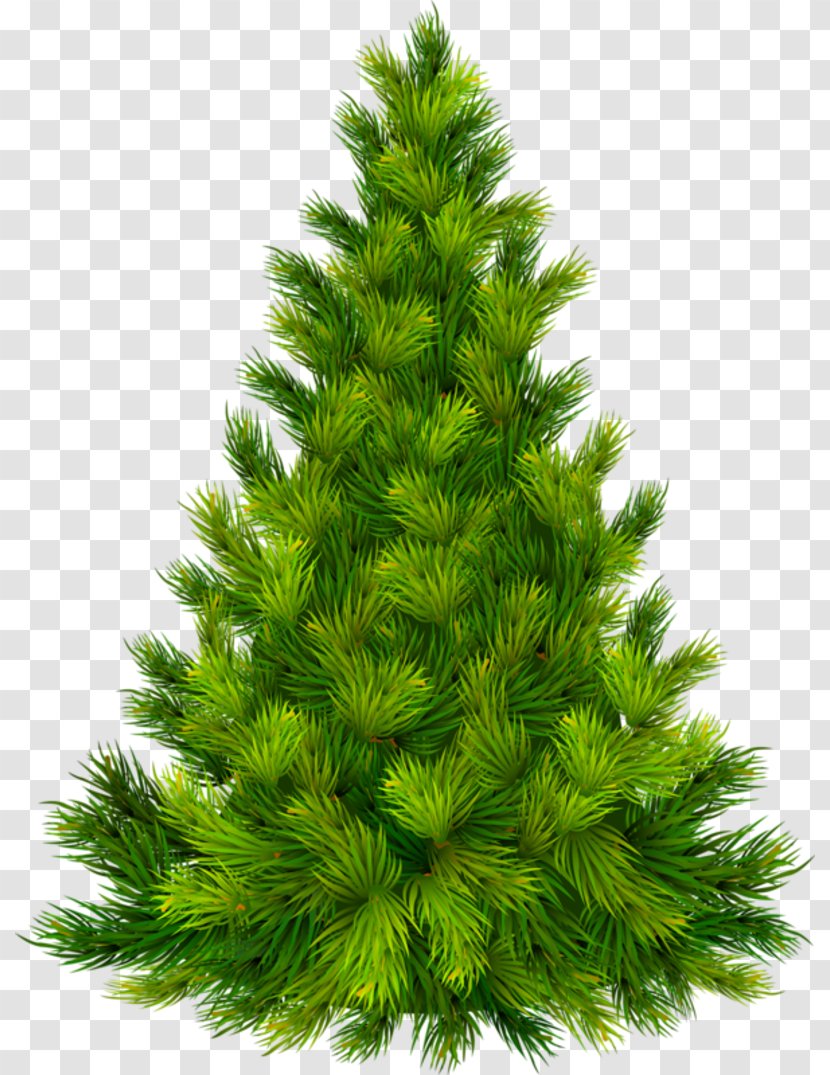 Christmas Tree And Holiday Season Eve Clip Art - Thanksgiving Transparent PNG