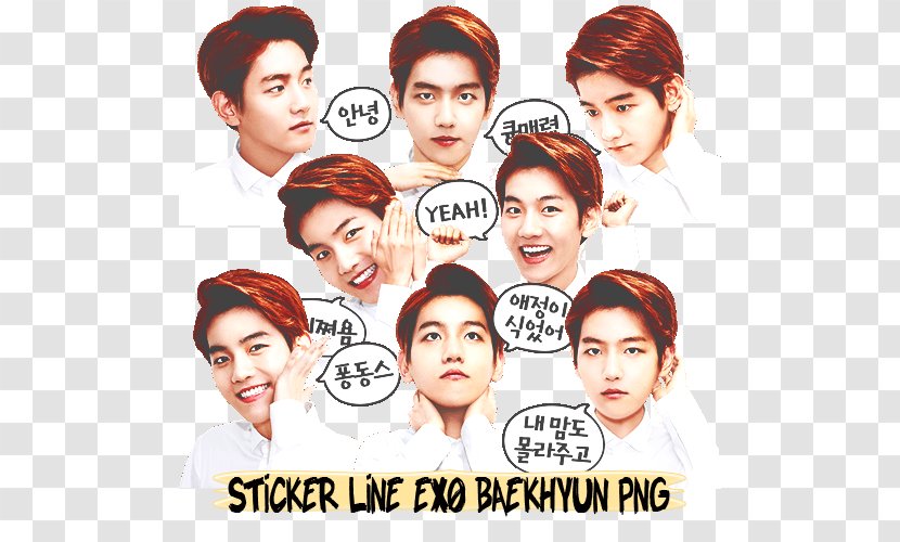 Baekhyun EXO Nose Eyebrow Human Behavior - Conversation - Sticker Line Transparent PNG