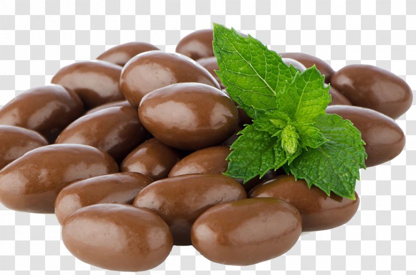 Cocido Chocolate Cocoa Bean - Beans Transparent PNG