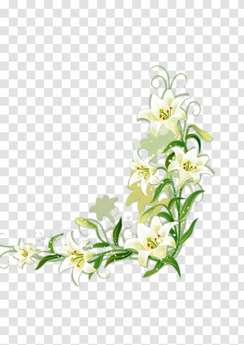Lilium Candidum Border Flowers - Image File Formats - White Lily Transparent PNG