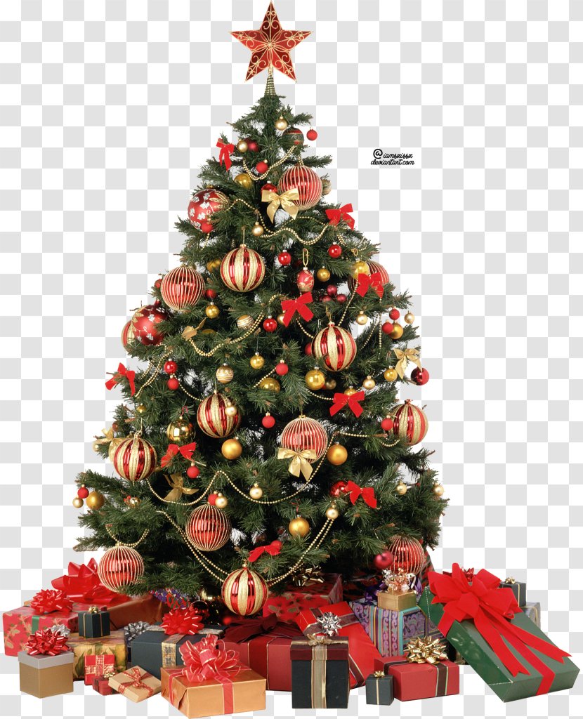Christmas Tree Clip Art - Pine Family Transparent PNG