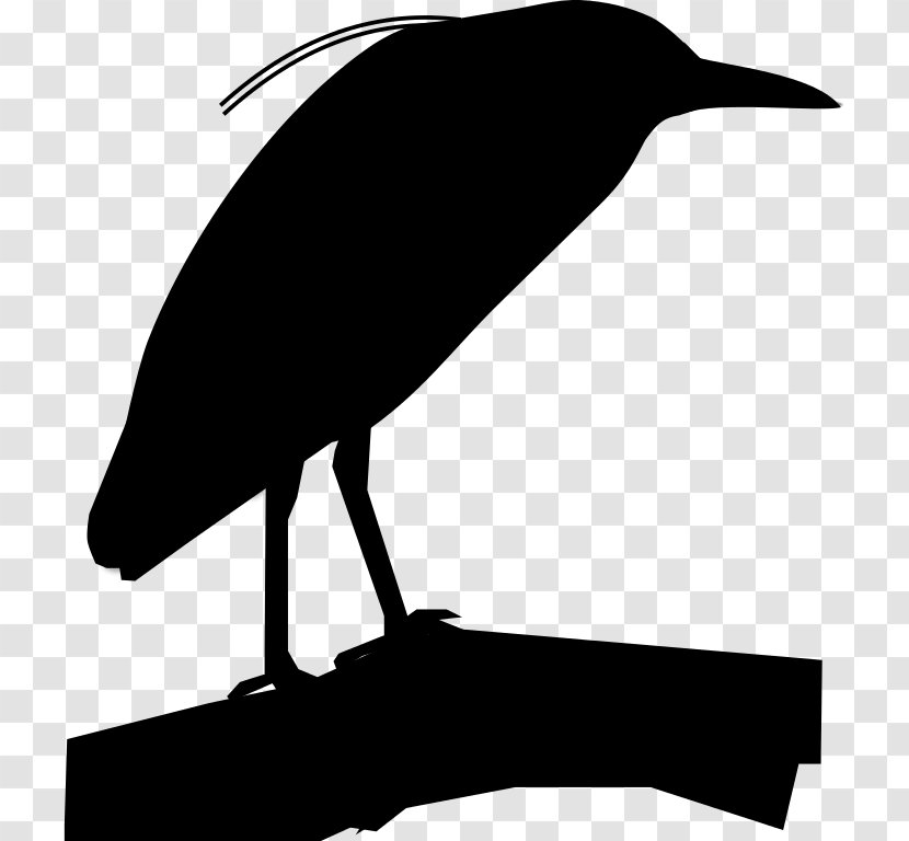 Clip Art Beak Fauna Silhouette - Heron - Raven Transparent PNG