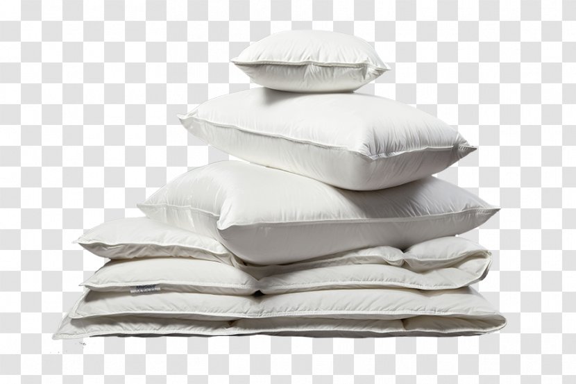 Kleen-Eco Ltd Laundry Duvet Futon Pillow - Dry Cleaning - Dust Mites Transparent PNG