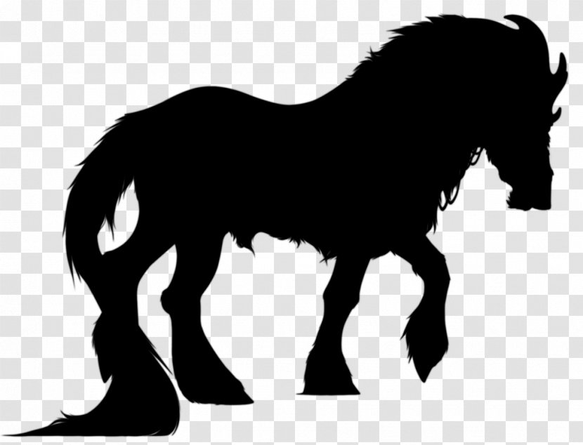 Mustang Foal Stallion Colt Halter - Mane - Yonni Meyer Transparent PNG