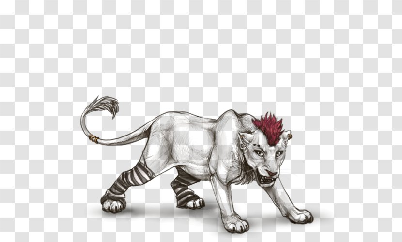 Lion Tiger Cat Drawing Terrestrial Animal - Fauna Transparent PNG
