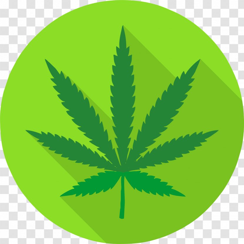 Vector Graphics Cannabis Stock Photography Royalty-free Illustration - Hemp Family - Addiction Recovery Transparent PNG