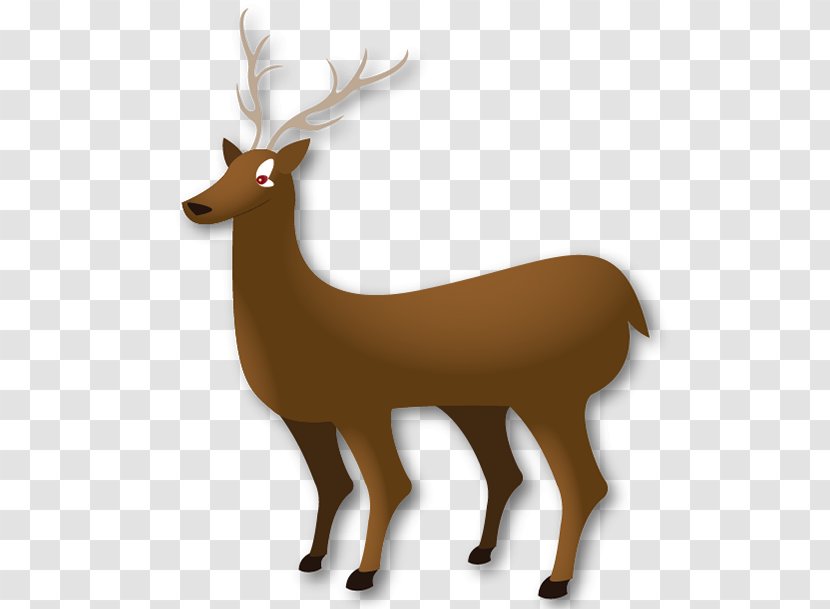 Reindeer Elk Antler Wildlife Terrestrial Animal - Horn Transparent PNG