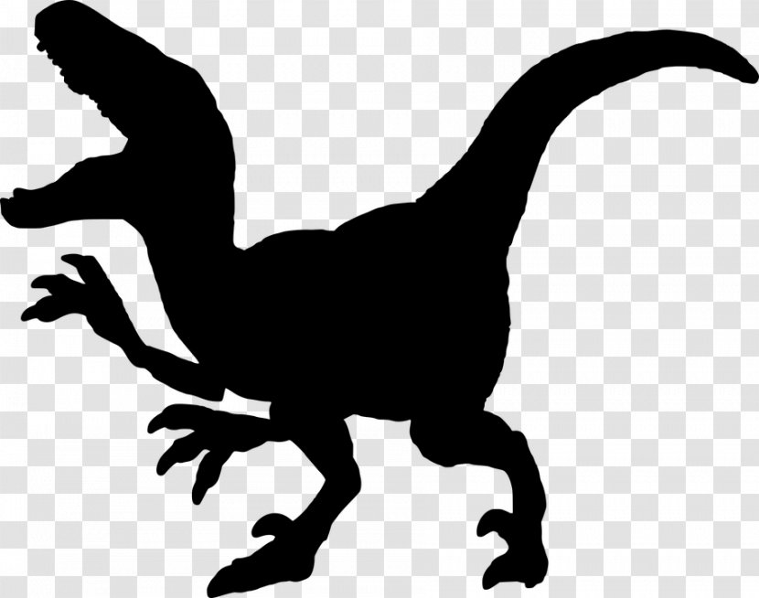 Velociraptor Background - Triceratops - Animal Figure Tyrannosaurus Transparent PNG