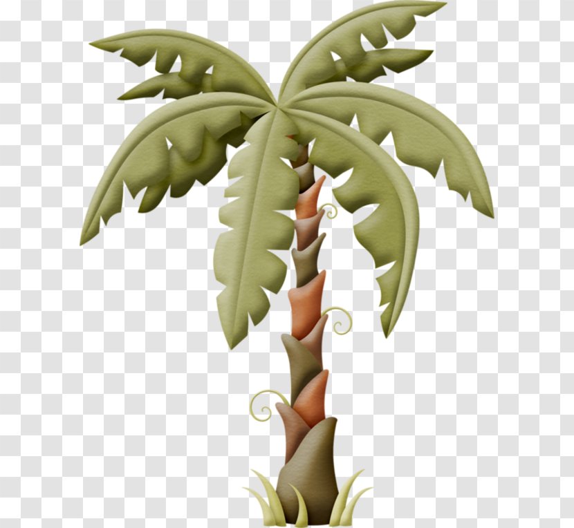 Clip Art Leaf Image Palm Trees - Agati Transparent PNG