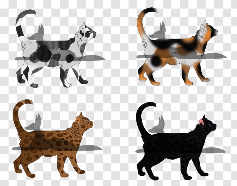 Cat Fauna Wildlife Tail Animal - Small To Medium Sized Cats Transparent PNG