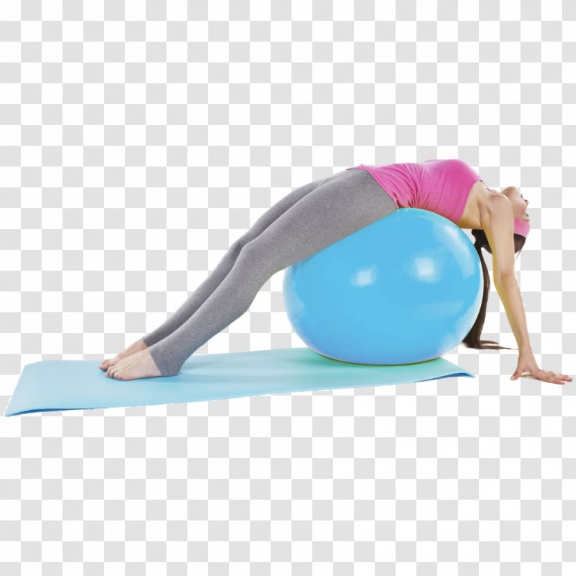 Exercise Balls Abdominal Core Pilates - Abdomen - Yoga Ball Transparent PNG