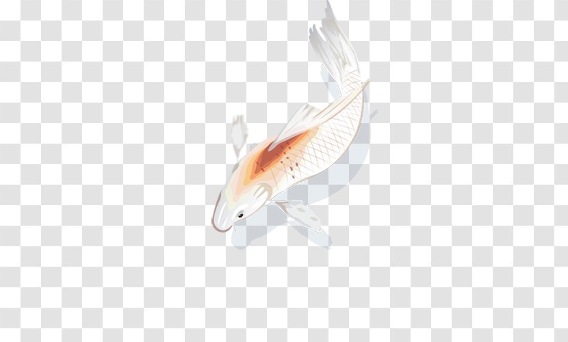 Fishing Bait - Fish - Gray Red Transparent PNG