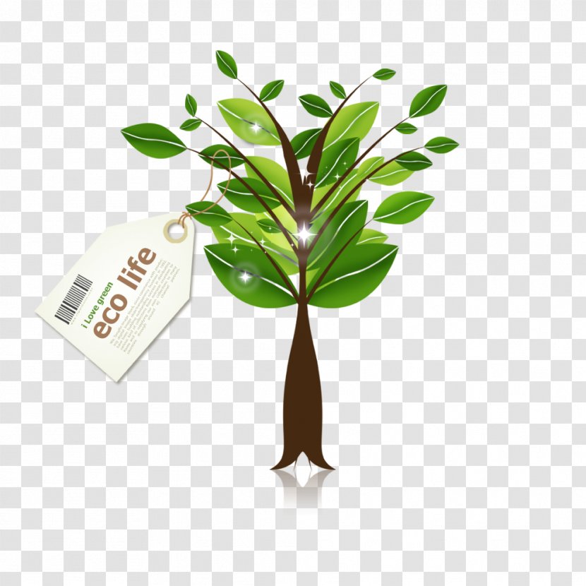 Green Modern Plant Decoration - Company - Commodity Transparent PNG