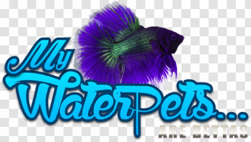 Siamese Fighting Fish Female Logo Graphic Design Pet - Purple - Betta Transparent PNG