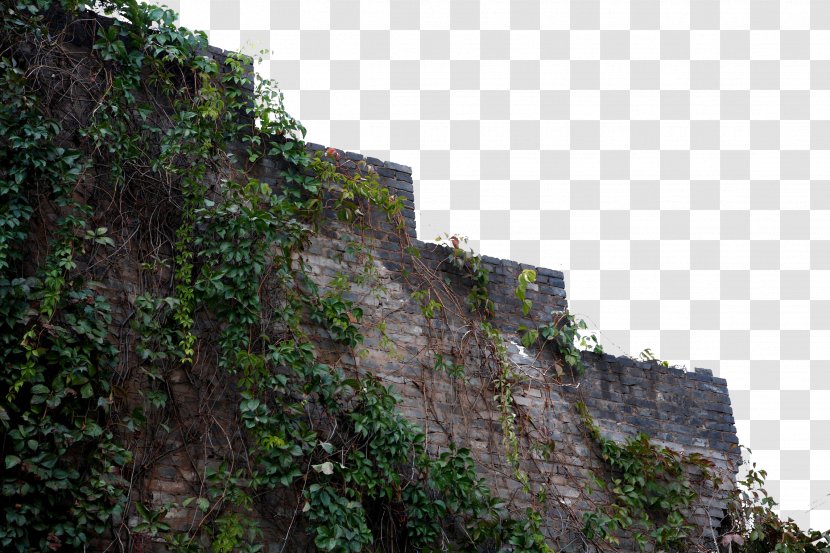 Wall Free Brick Cement - Vegetation - Ancient Transparent PNG