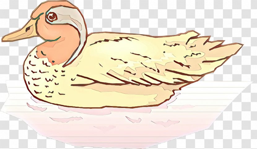 Duck Clip Art Illustration Food Beak - Feather Transparent PNG
