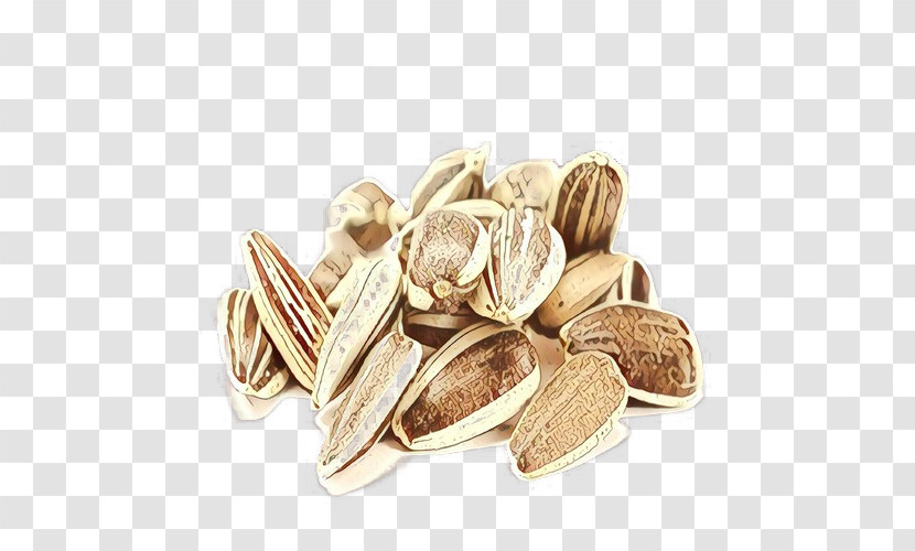 Sunflower Seed Food Nuts & Seeds Seed Cuisine Transparent PNG