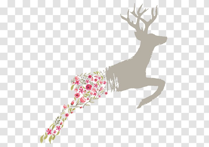 Floral Design Watercolor Painting Flower - Antler Transparent PNG