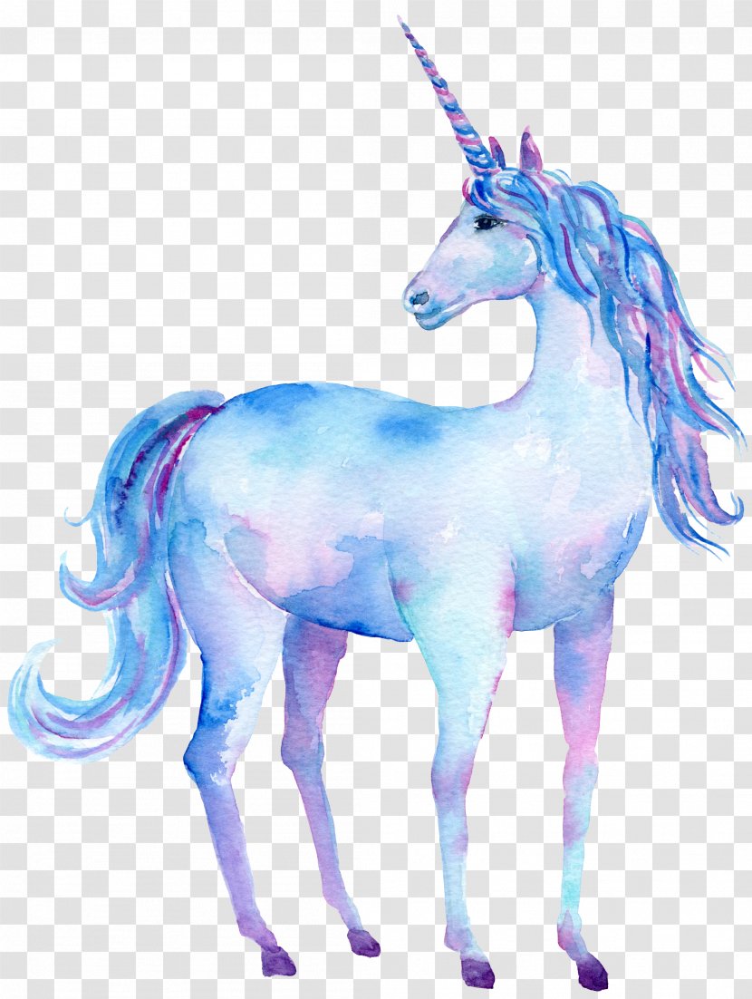 Watercolor Painting Unicorn Art Clip - Printing Transparent PNG