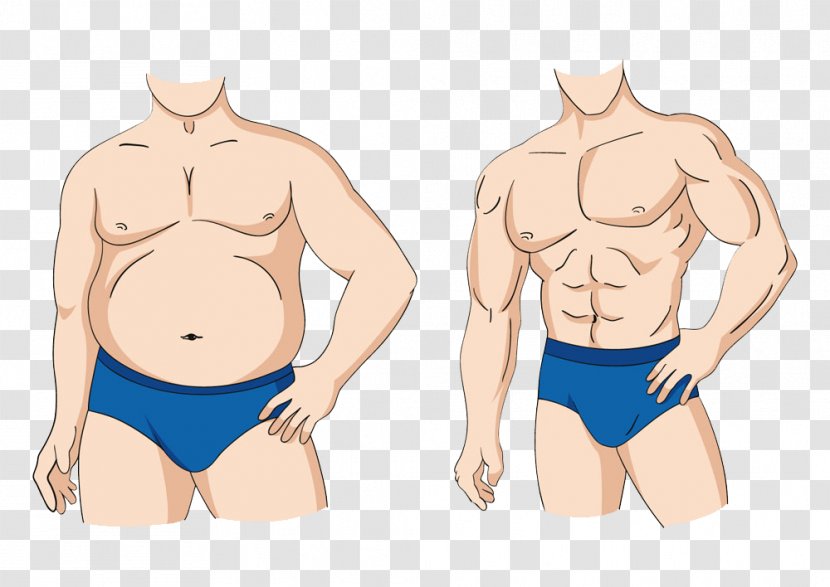 Nutrient Muscle Hypertrophy Eating Weight Loss - Cartoon - Muscular And Fat Man Transparent PNG