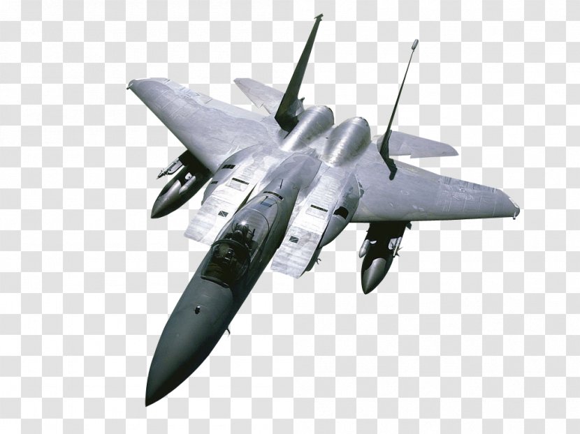 McDonnell Douglas F-15 Eagle F-15E Strike F/A-18 Hornet General Dynamics F-16 Fighting Falcon Airplane - Grumman F 14 Tomcat Transparent PNG