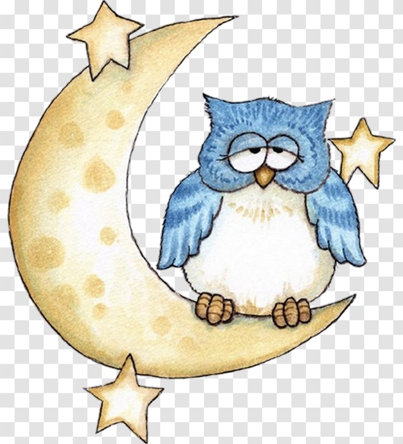 Little Owl Drawing - Moon Transparent PNG