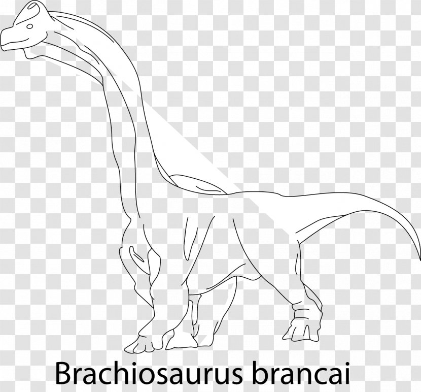 Velociraptor Line Art Animal Cartoon - Wing Transparent PNG