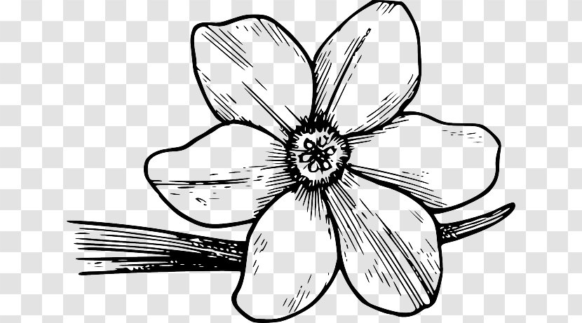 Clip Art Coloring Book Flower Colouring Pages Drawing - Flora - Bloom Vegetation Transparent PNG