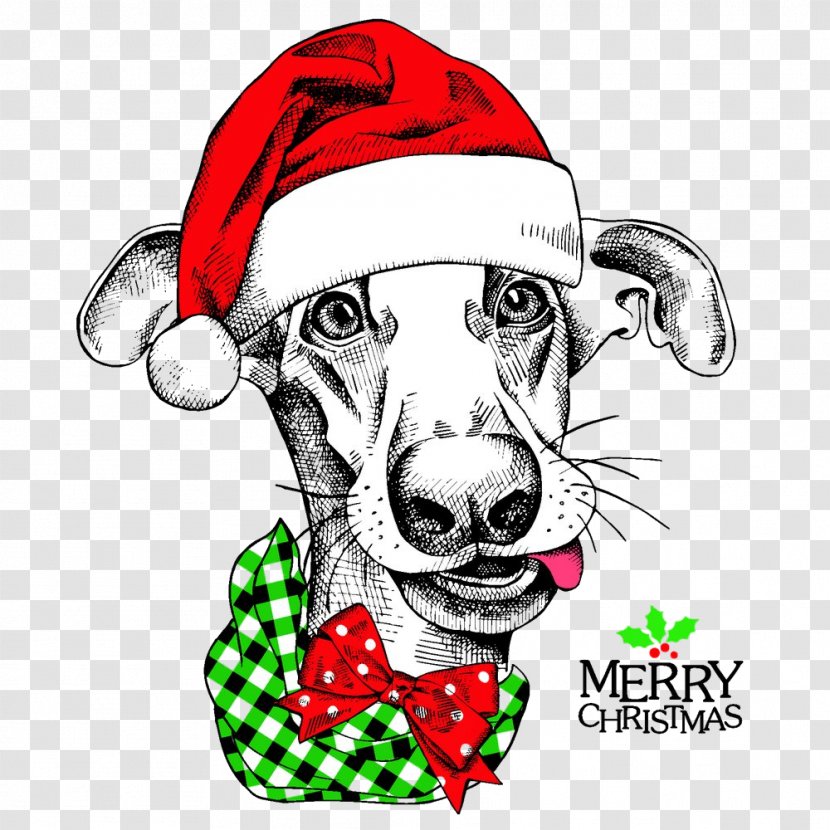 Dog Whippet Nose Snout Italian Greyhound - Christmas Sporting Group Transparent PNG