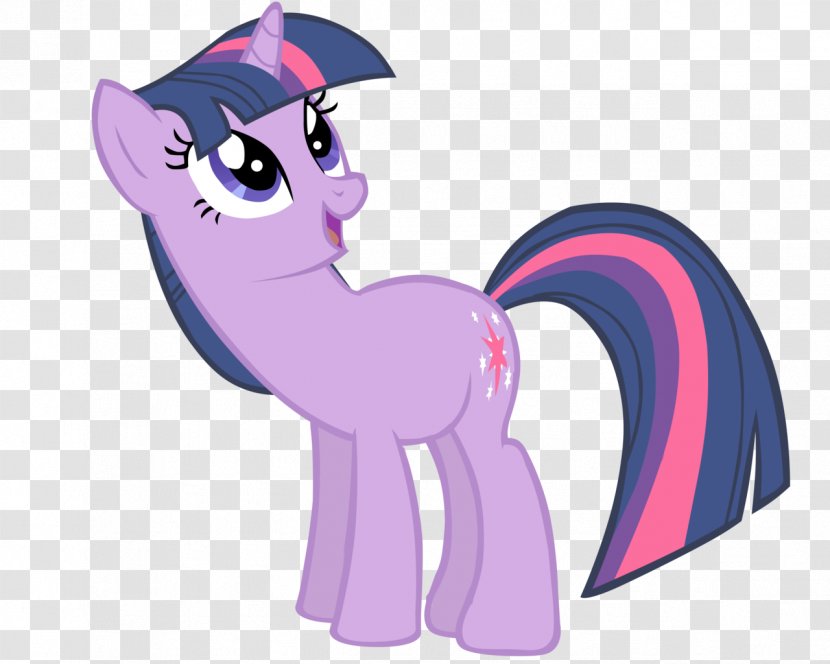 Pony Twilight Sparkle BronyCon Pinkie Pie Princess Celestia - Cat Like Mammal Transparent PNG