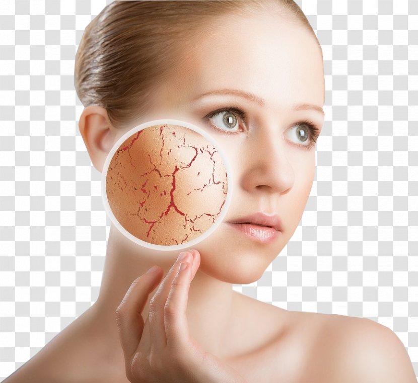 Lotion Sensitive Skin Xeroderma Care - Cheek - Love Beauty Transparent PNG