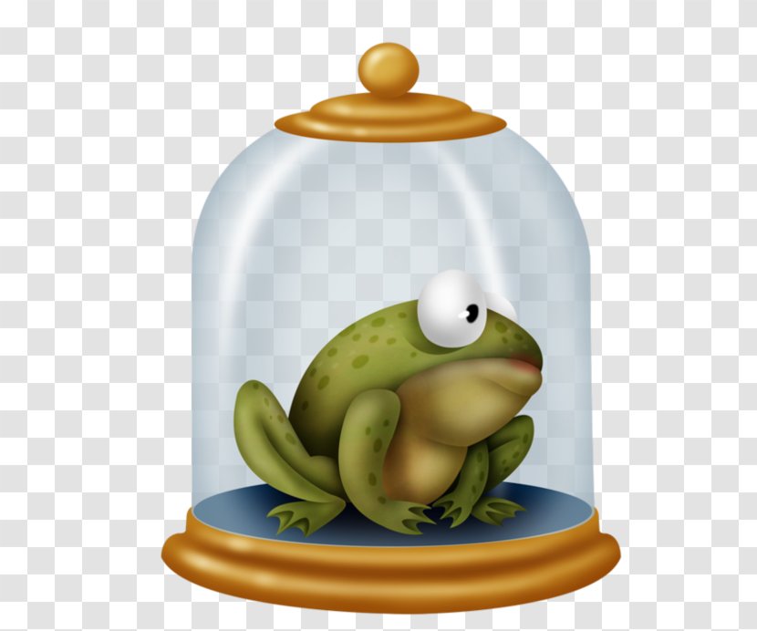 True Frog Amphibians Vertebrate Ceramic - Lake Cartoon Transparent PNG