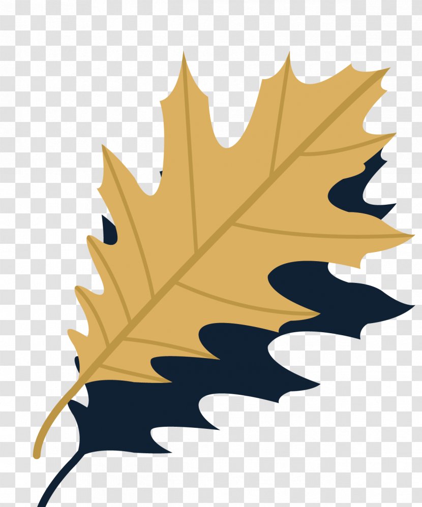 Leaf Autumn Euclidean Vector - Tree - Leaves Collection Material Transparent PNG