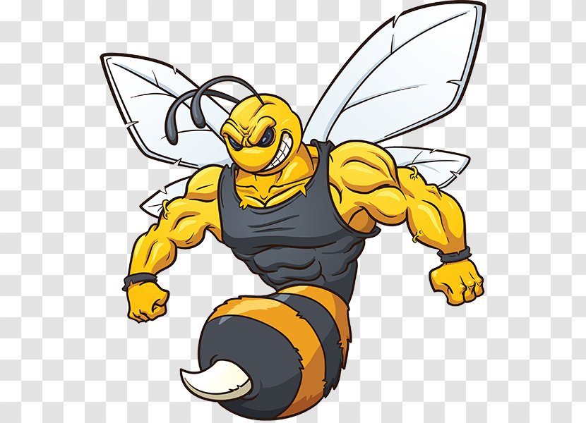 Hornet Bee Vector Graphics Clip Art Wasp - Invertebrate - Mascot Transparent PNG