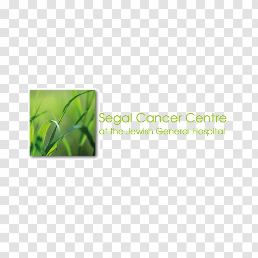Jewish General Hospital Cancer Prevention Oncology - Medicine - Mohan Segal Transparent PNG