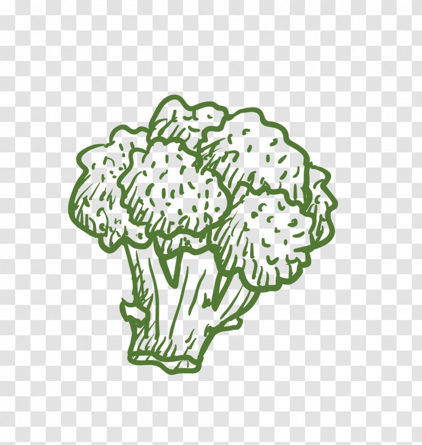 Broccoli Cauliflower Vegetable Computer File - Cartoon Transparent PNG