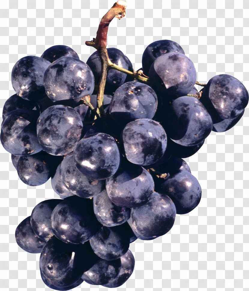 Concord Grape - Grapevines - Image Transparent PNG