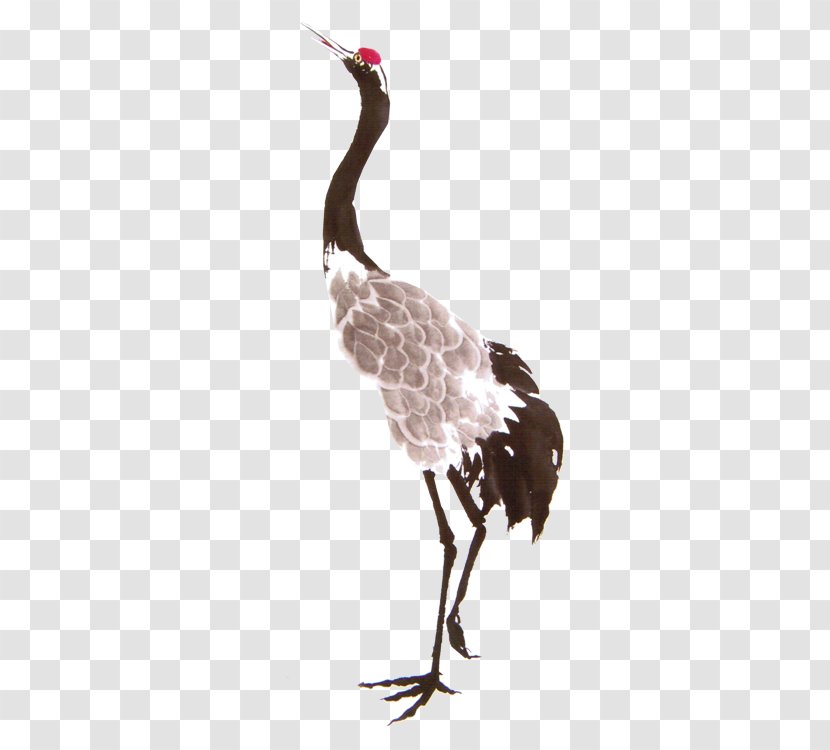 Red-crowned Crane Gongbi Chinese Painting - Ink Wash Transparent PNG