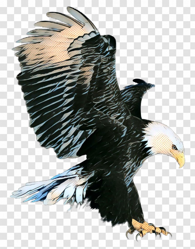 Sea Bird - Wing - Vulture Falconiformes Transparent PNG