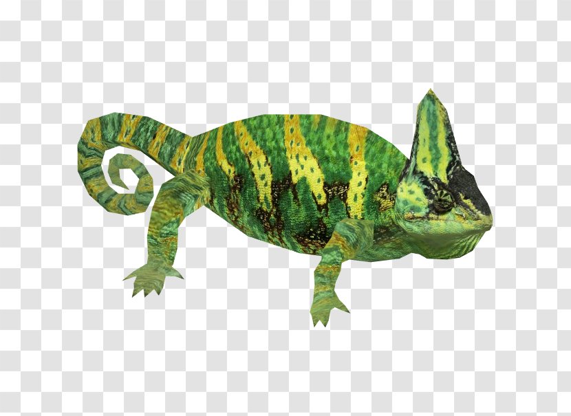 Chameleons Lizard Reptile Iguanomorpha Veiled Chameleon - Scaled Transparent PNG