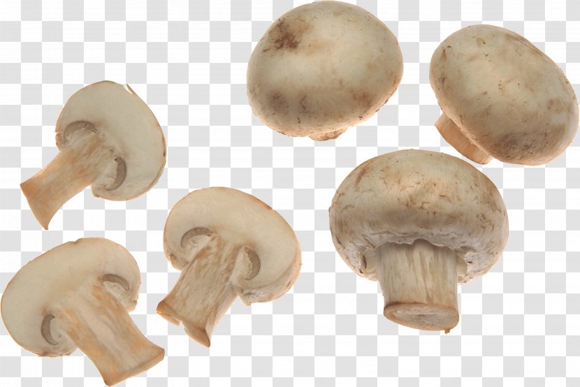 Common Mushroom - Ingredient - White Mushrooms Image Transparent PNG