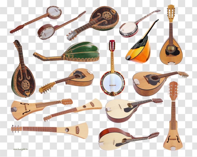 String Instruments Musical Huqin Wind Instrument - Flower Transparent PNG
