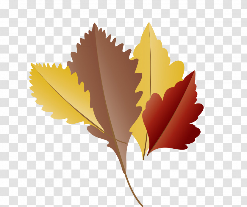 Maple Leaf Transparent PNG