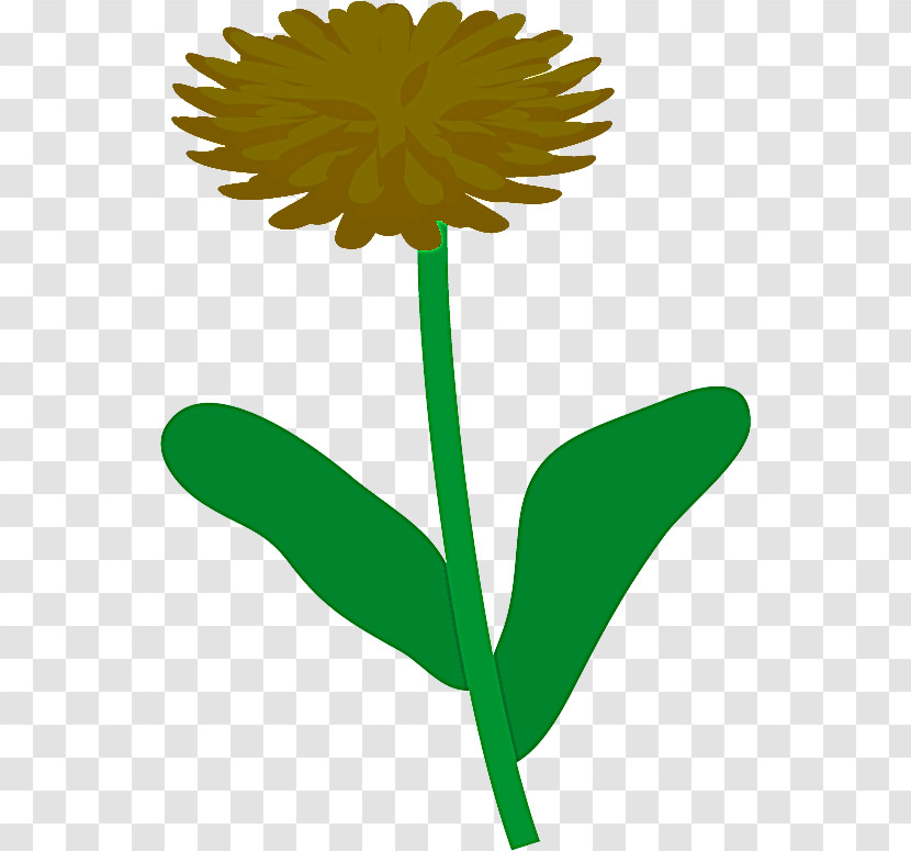 Dandelion Transparent PNG