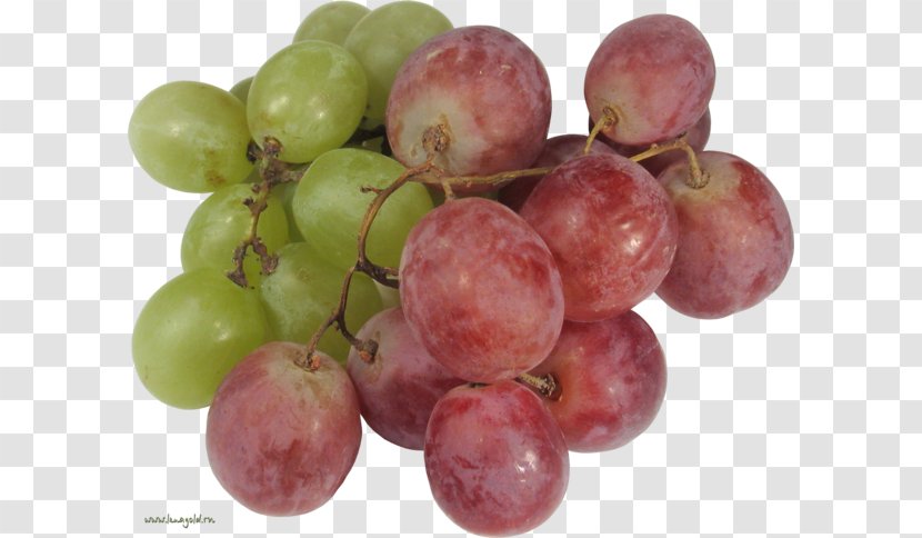 Grape Food Seedless Fruit Wine - Local Transparent PNG