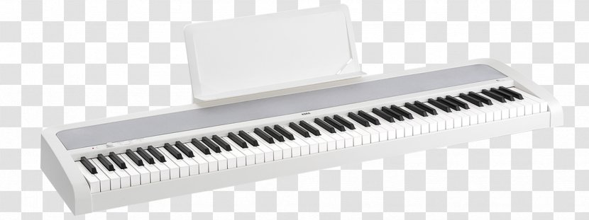 Korg B1 Digital Piano Musical Instruments - Silhouette Transparent PNG