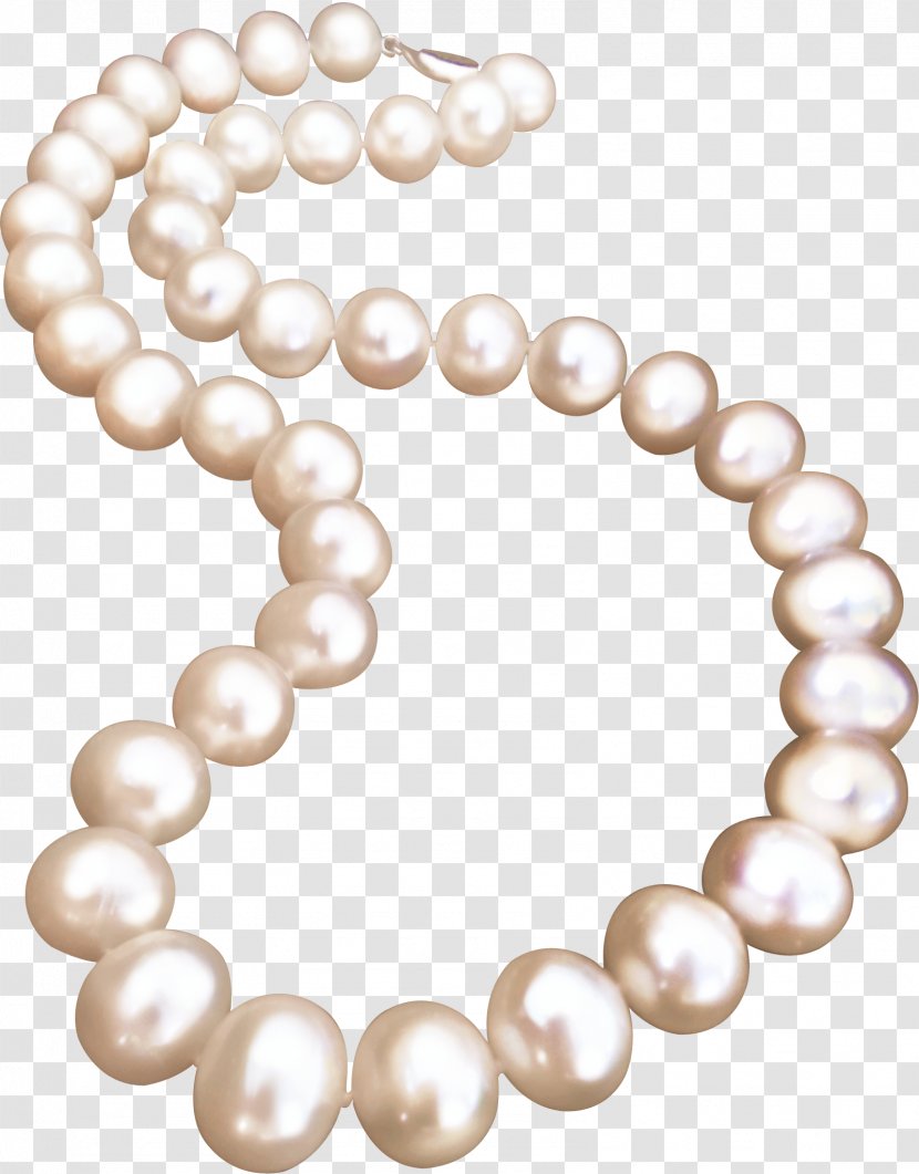 Pearl Necklace Jewellery Transparent PNG